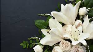 Sam Tucci, Obituary Death: Weymouth Massachusetts Boston Has Died